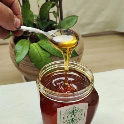 عسل گون