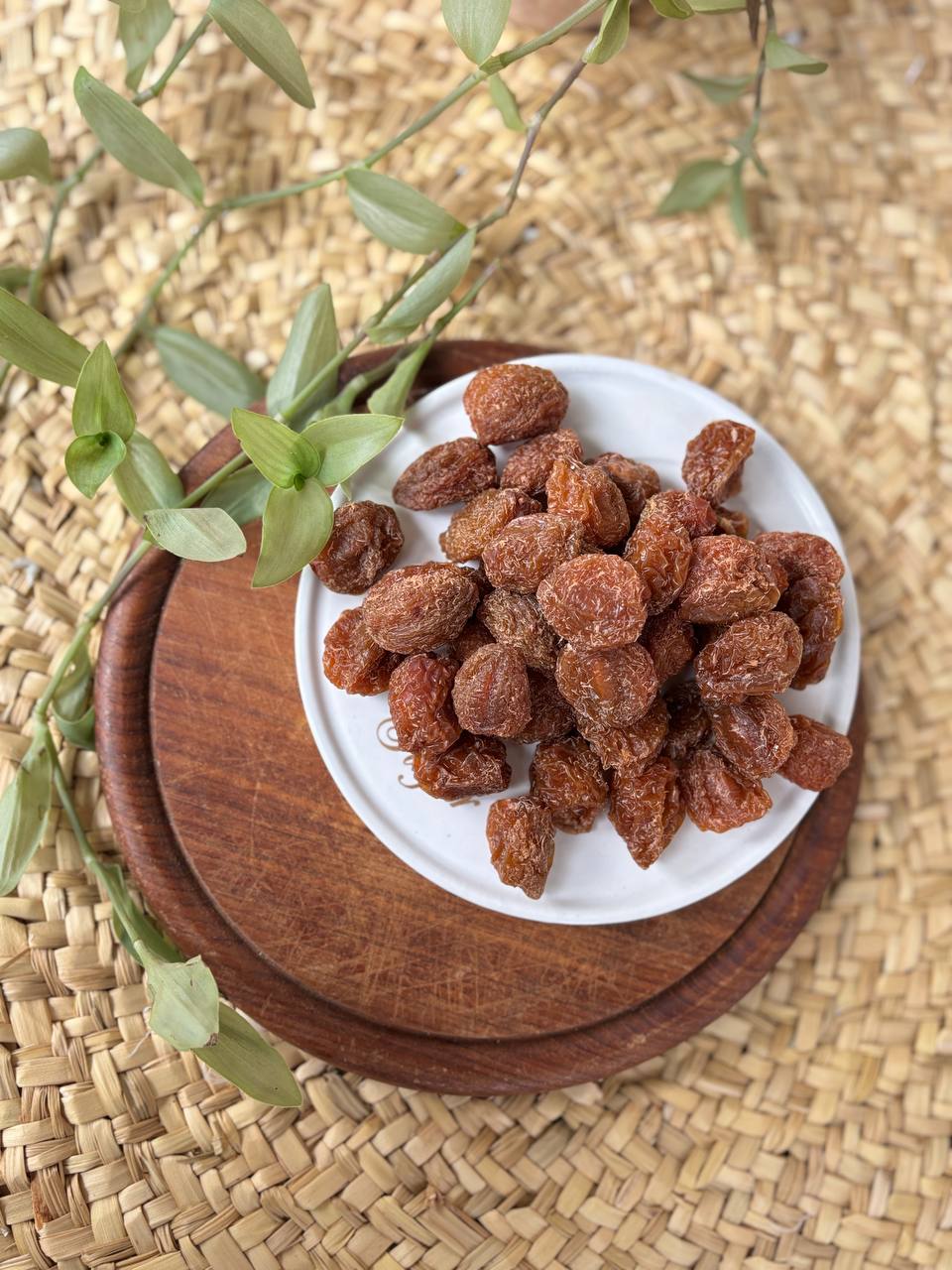 IMG_20251017_201152_283 آلو جوشی آفتابی - تصویر 1